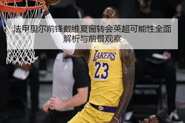 法甲里尔前锋戴维夏窗转会英超可能性全面解析与前景观察